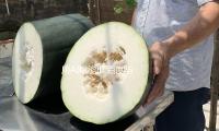 用AI赋能IP 百度与生数等发布AIGC动漫工业创制渠道 — 新京报