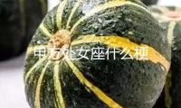 甲方处女座什么梗