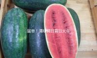 留意！清明假日首日火车票今起出售 — 新京报