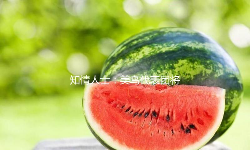 知情人士：美乌代表团将于23日举办初次停火商洽会议 — 新京报