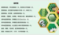 白云鄂博矿藏新发现！“氧铅烧绿石”“献华铈铌矿”初次露脸