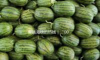 穿越海峡的热线｜“00后”台青周子瑜：来大陆8年，爱上了湘菜
