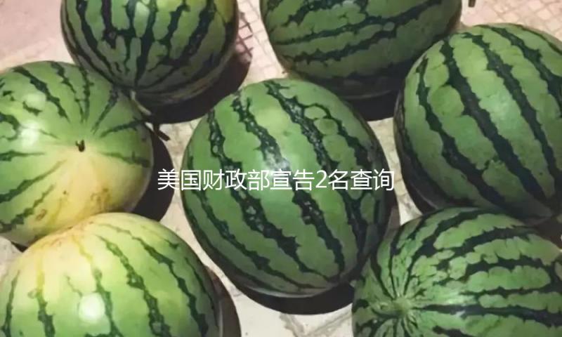 美国财政部宣告2名查询亨特·拜登的国税局职工为高级顾问 — 新京报