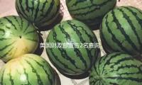 美国财政部宣告2名查询亨特·拜登的国税局职工为高级顾问 — 新京报