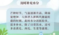 美丽的小东西 它是身体和自我意识的延伸