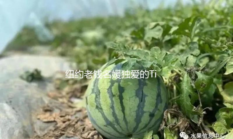 纽约老钱名媛独爱的Tiffany，成都“新家”满意了一切梦想！