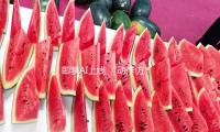 即梦AI上线 “动作仿照” 功用，可一键让图片人物动起来 — 新京报