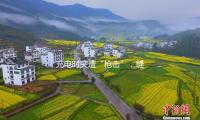 充电时突遭“枪击”，缝了8针......新能源车主留意了！