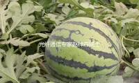 光纤通信专家赵梓森院士去世