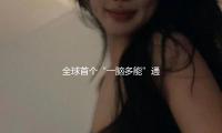 全球首个“一脑多能”通用具身智能渠道“慧思开物”发布 — 新京报