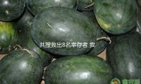 共搜救出8名幸存者 我国救援部队在缅继续展开救援举动 — 新京报