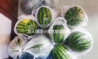 友人曝汪小菲忧郁症躁郁症复发 身心处于溃散状况