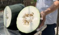 古装剧里的大氅造型，鞠婧祎魅惑陈都灵清凉，孟子义杨逾越灵动