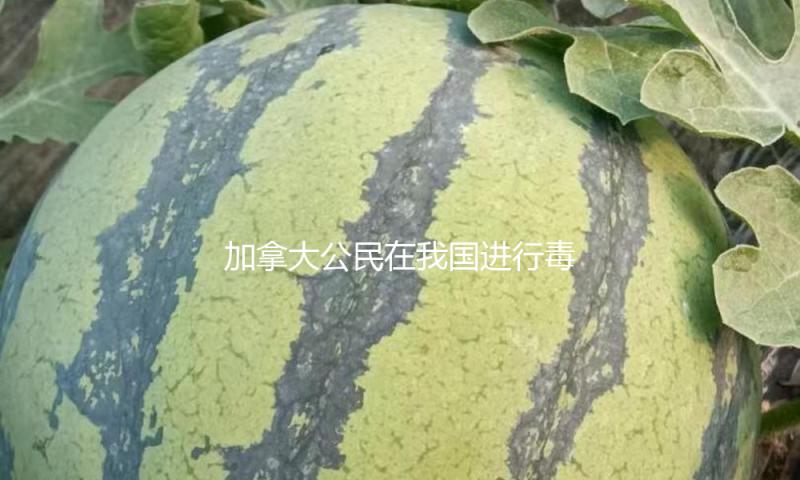 加拿大公民在我国进行毒品违法被执行死刑 外交部回应 — 新京报
