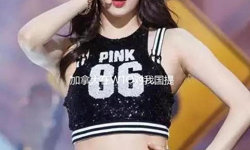 加拿大在WTO对我国提起诉讼，外交部回应 — 新京报