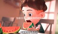 加拿大与欧盟就国防收购协作进行谈判 — 新京报
