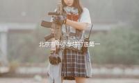 北京市中小学将打造第一批11个AI使用场景