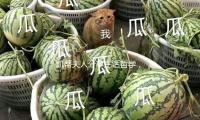 凯蒂夫人分享生活哲学，教你如何在吃瓜娱乐中发现快乐与正能量