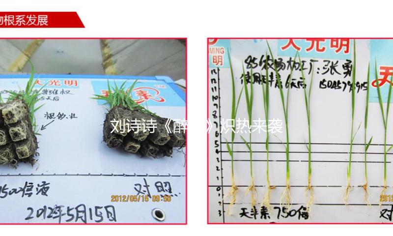 刘诗诗《醉梦》炽热来袭，副角里竟然有李沁，这剧想不火都难了！