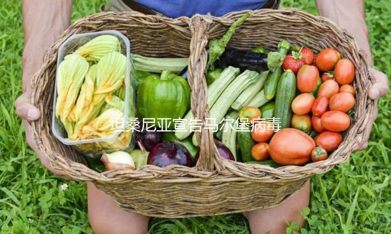 坦桑尼亚宣告马尔堡病毒病疫情完毕