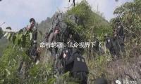 命若朝霜：法令视界下《红楼梦》中的女人悲惨剧 — 新京报