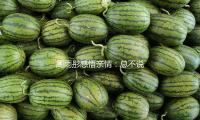 周雨彤感悟亲情：总不说“爱”，咱们就会忘掉怎么表达