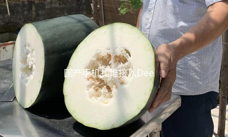 国产手机扎堆接入DeepSeek AI功用“短板”能否改进 — 新京报