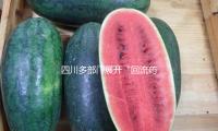 四川多部门展开“回流药”联合查询 — 新京报