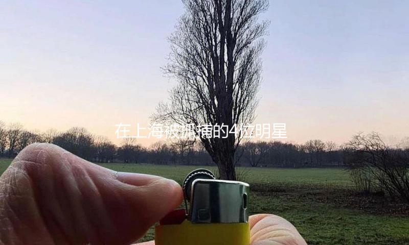 在上海被抓捕的4位明星，个个都是臭名昭著，央媒不吝点名批判！