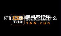 你们不要再打了啦是什么梗