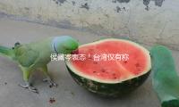 侯佩岑表态！台湾仅有称谓便是我国台湾省，网友喊话其他人赶忙发