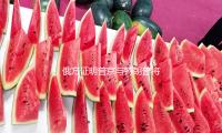 俄方证明普京与特朗普将于18日通电话 — 新京报