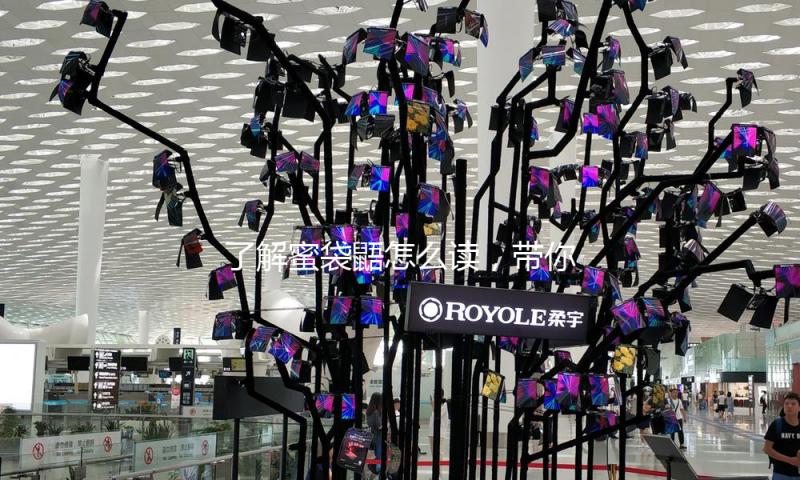 了解蜜袋鼯怎么读，带你一起探索萌宠背后的热议与乐趣！