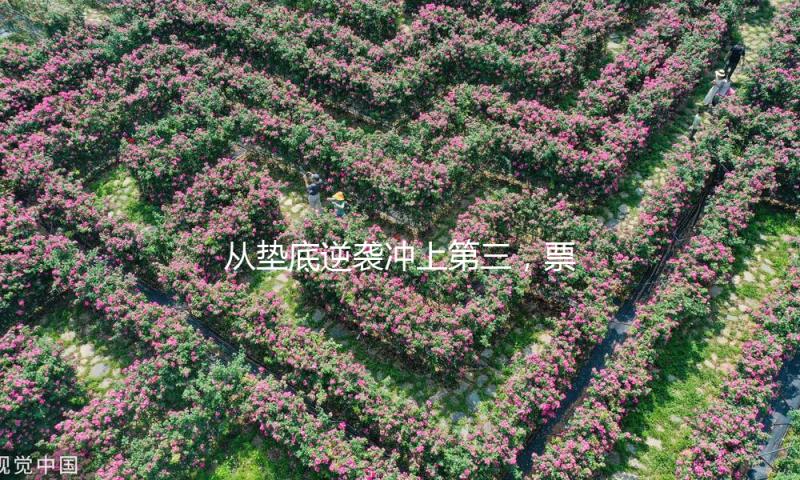 从垫底逆袭冲上第三，票房剑指10亿，新年档又诞生了一部黑马？