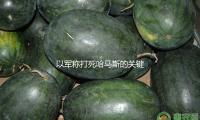 以军称打死哈马斯的关键融资人 — 新京报