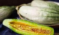 为1222万“社会新鲜人”谋未来