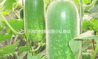 不敌沙特露出国少队备战问题，次战乌兹别克斯坦已没有退路