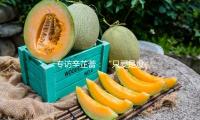 专访辛芷蕾：“只要是没演过的都想测验”