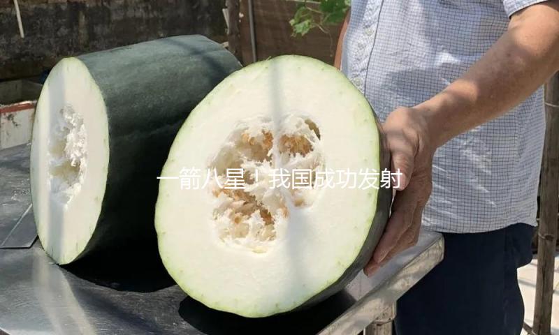 一箭八星！我国成功发射云遥一号55