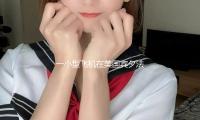 一小型飞机在美国宾夕法尼亚州坠毁 多人受伤