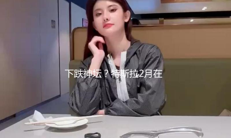 下跌神坛？特斯拉2月在华销量遭“腰斩”