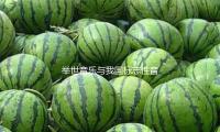 举世音乐与我国标志性音乐家刘欢达到全球独家协作