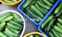 中国福彩：所谓AI预测彩票号码，100%是骗局 — 新京报