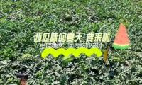 中信建投：国内脑机接口公司有望逐渐完成商业化使用
