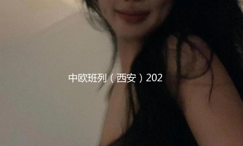 中欧班列（西安）2025年已开行超1000列