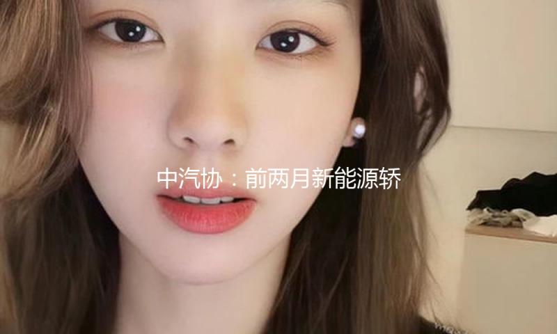 中汽协：前两月新能源轿车产销及出口增加均超50%