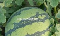 中消协发布调查报告：“售后保证”接连5年最受重视