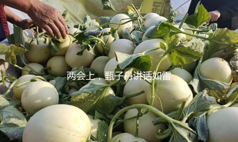 两会上，甄子丹讲话如雷霆炸响引热议，难怪两会从不约请流量明星