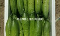 两会声响｜推进以旧换新，加速科技成果转化，贾少谦有这些主张 — 新京报