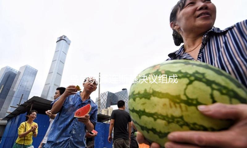 乌总统泽连斯基决议组成代表团 与合作伙伴进行和平谈判 — 新京报